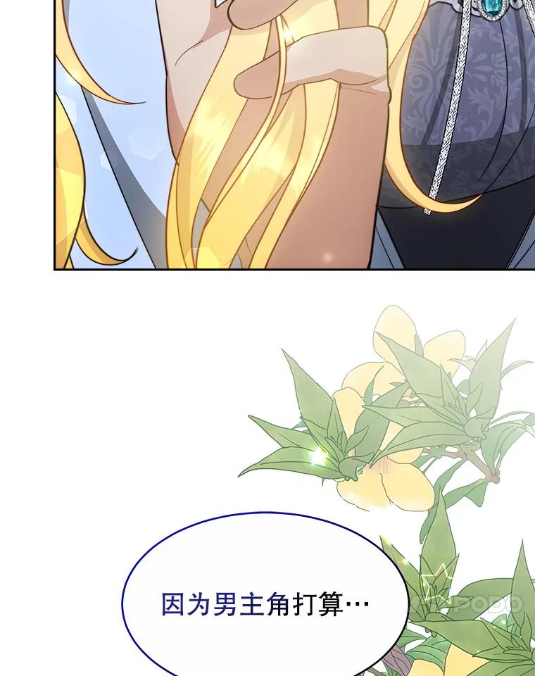《小说男主竟是我前夫》29.凯利戈的承诺 第104页