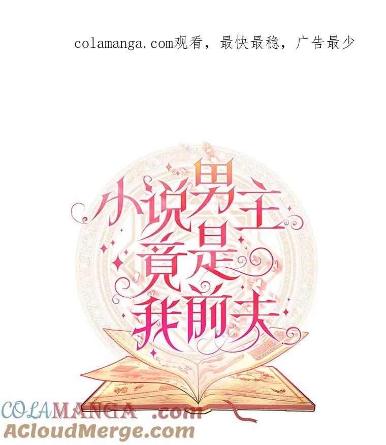 《小说男主竟是我前夫》29.凯利戈的承诺 第1页