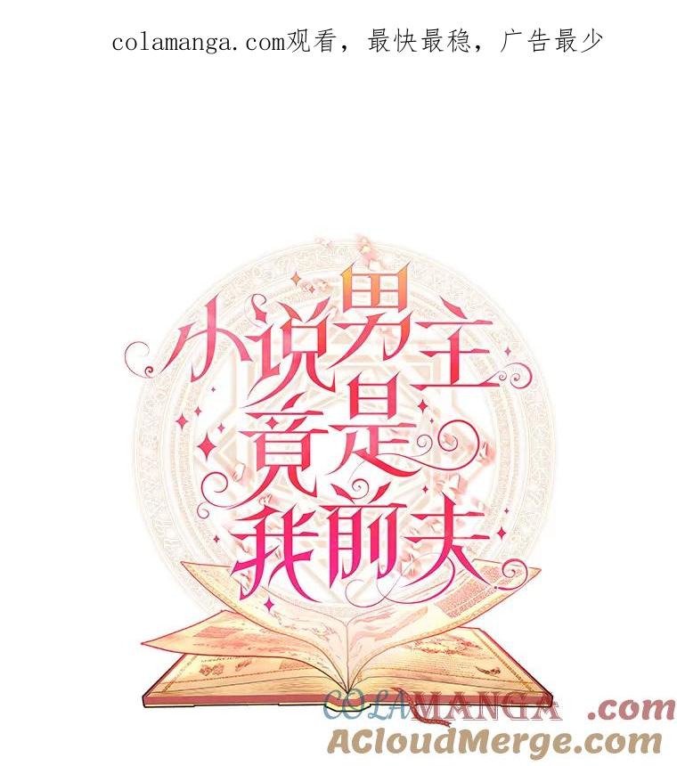 《小说男主竟是我前夫》30.雅莎和丽莎的过去 第1页