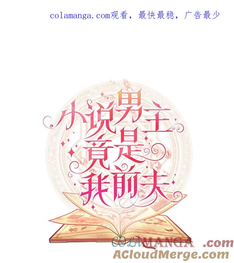 《小说男主竟是我前夫》33.找到丽莎 第1页