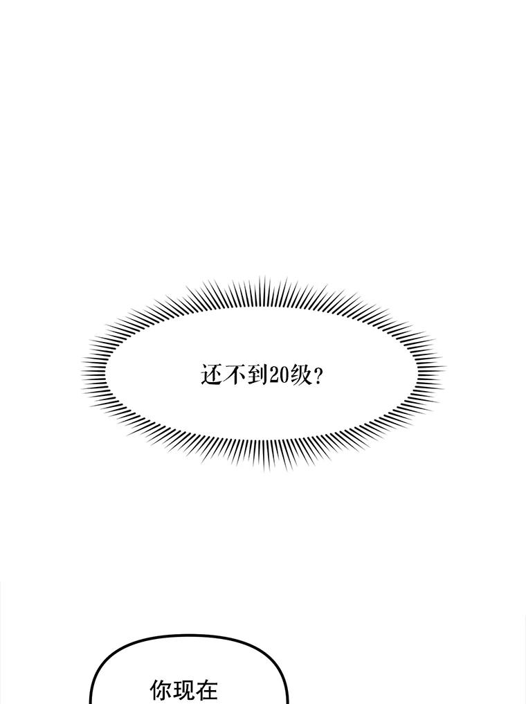 《被点赞的猎人》66.狄安赞的等级 第40页