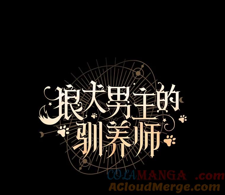 《狼犬男主的驯养师》69.得逞 第9页