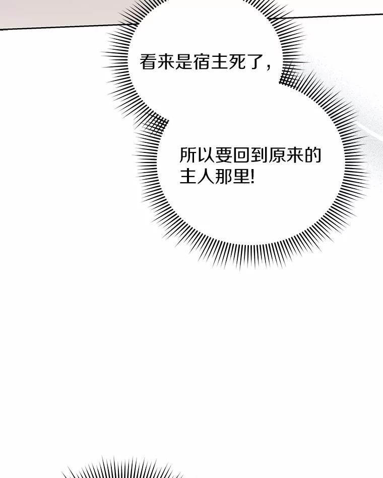 《狼犬男主的驯养师》70.寻找真凶 第84页