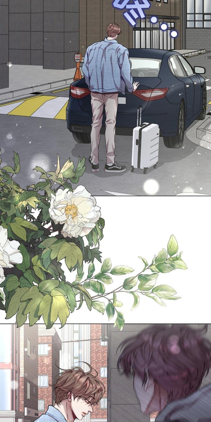 《虚情假意》第150章：冲突 第8页