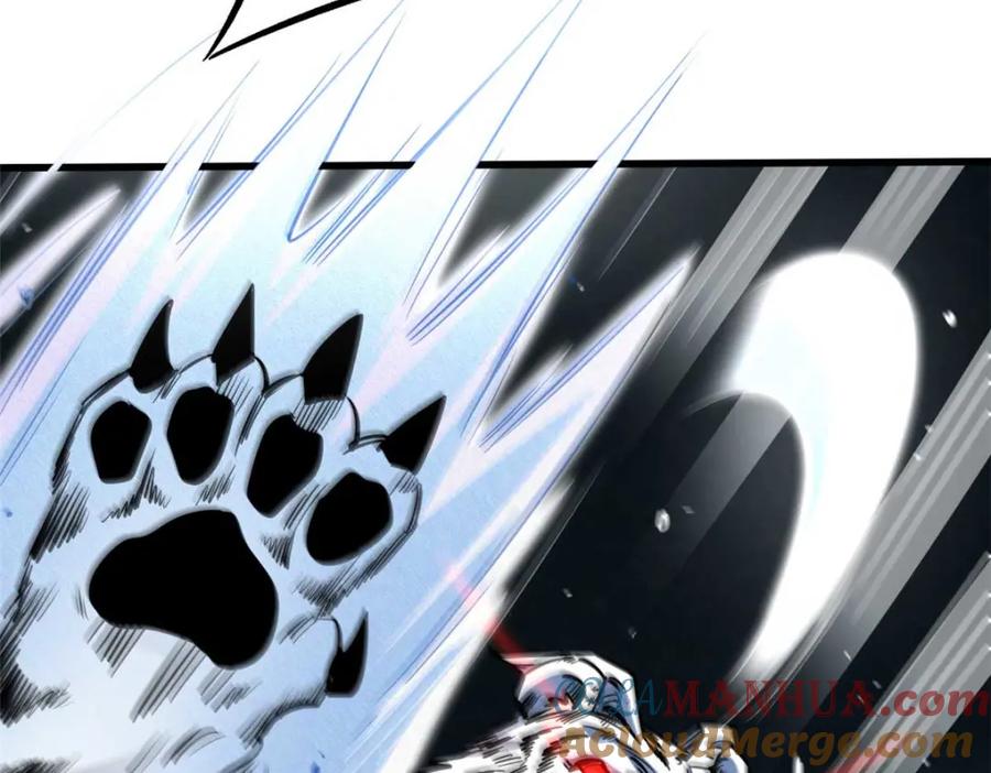 《超级神基因》205 白虎御风 第81页