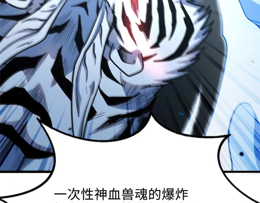《超级神基因》205 白虎御风 第138页