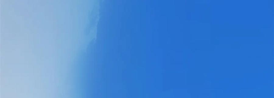 顶级气运，悄悄修炼千年 225 通天剑道 第195页