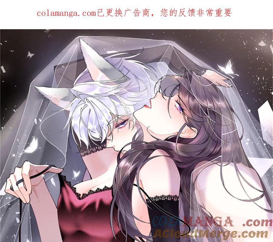 《白天被逃婚晚上被奶凶指挥官求抱抱》88 转系啦 第1页