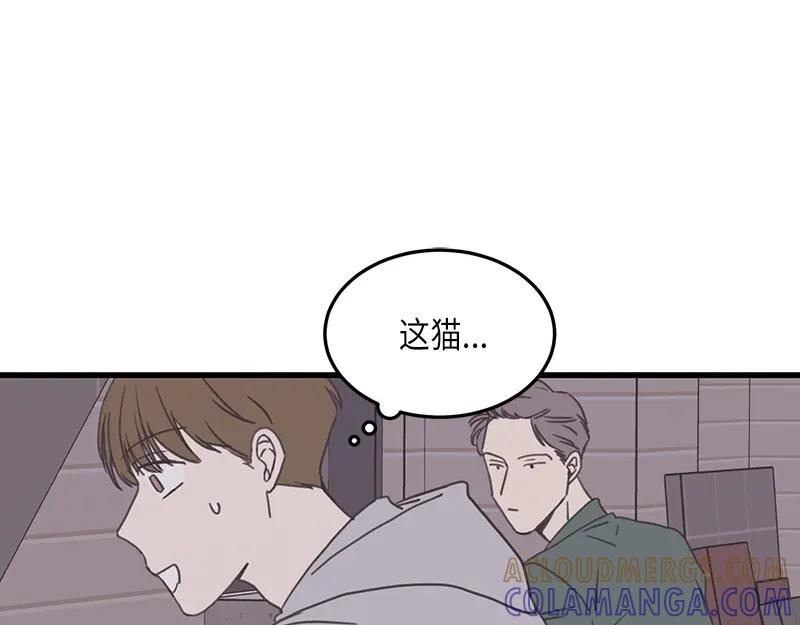 《取向的发现》第111话 第13页