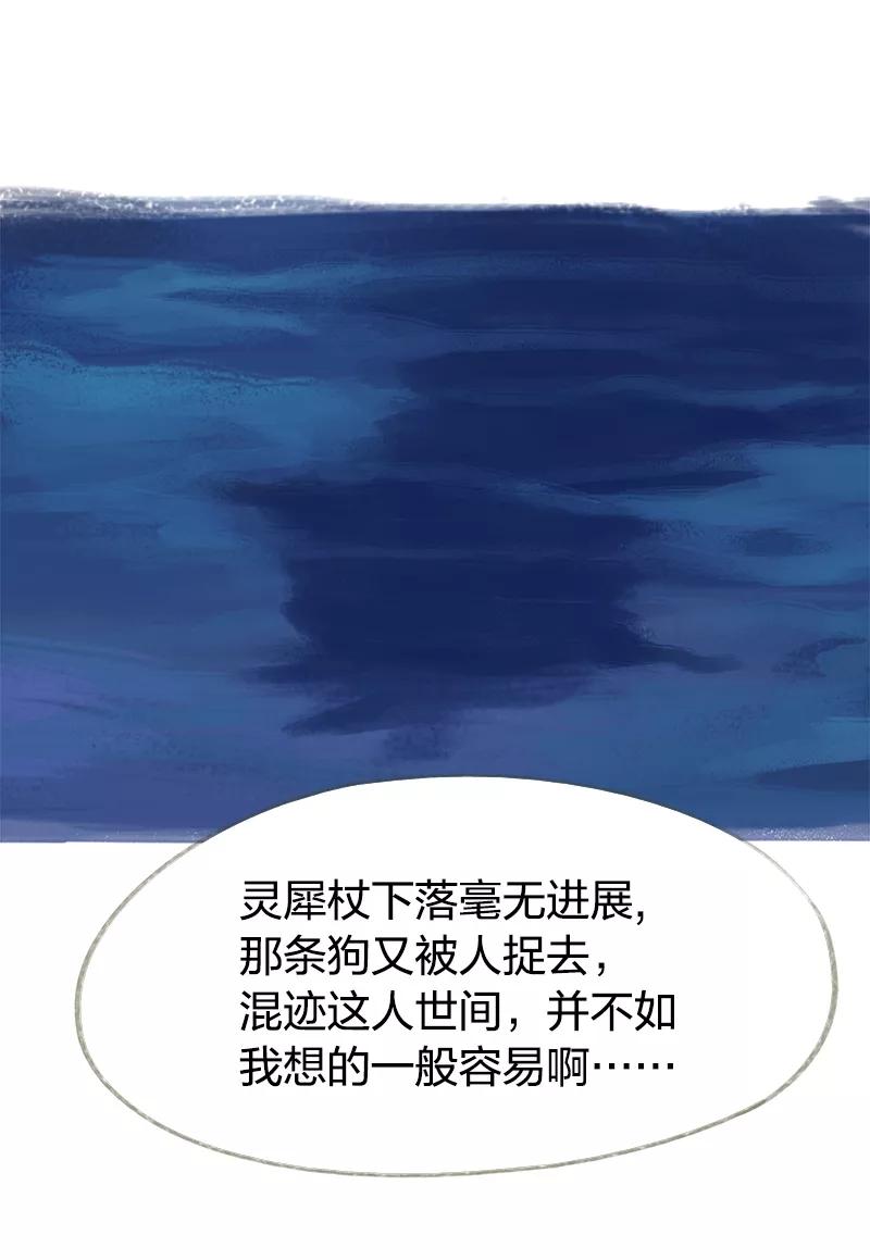 《吾猫当仙》第48话 第4页