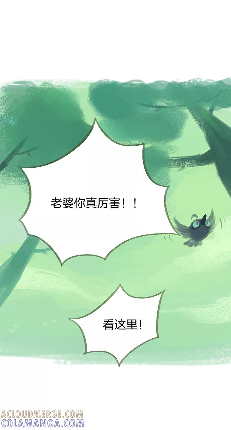 《吾猫当仙》第52话 第31页