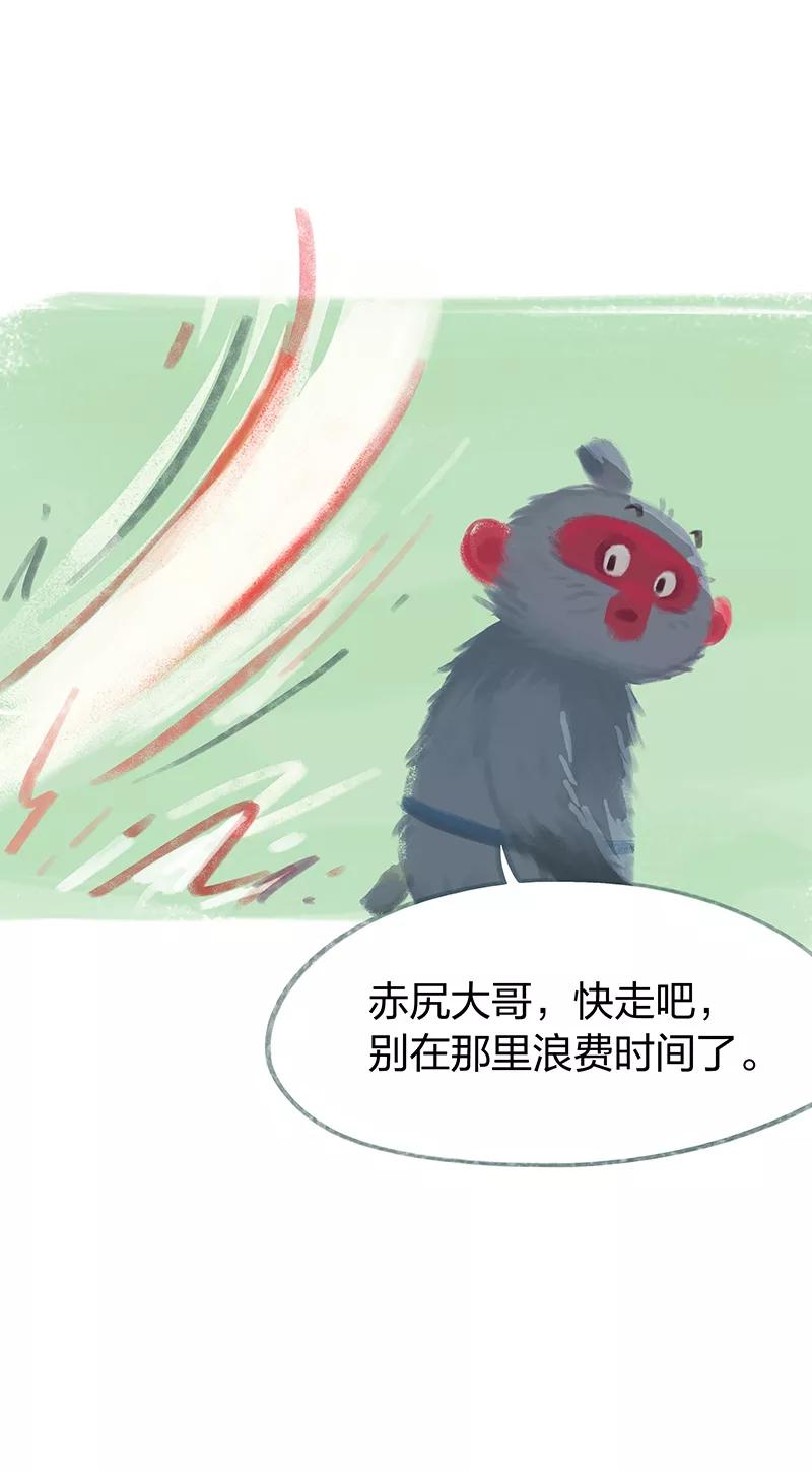 《吾猫当仙》第61话 第36页