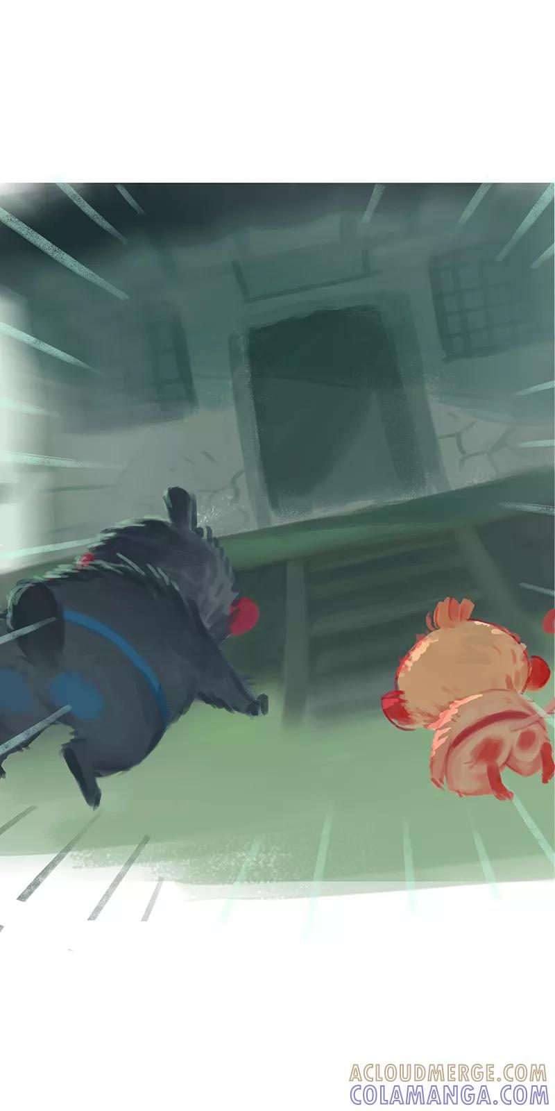 《吾猫当仙》第61话 第19页