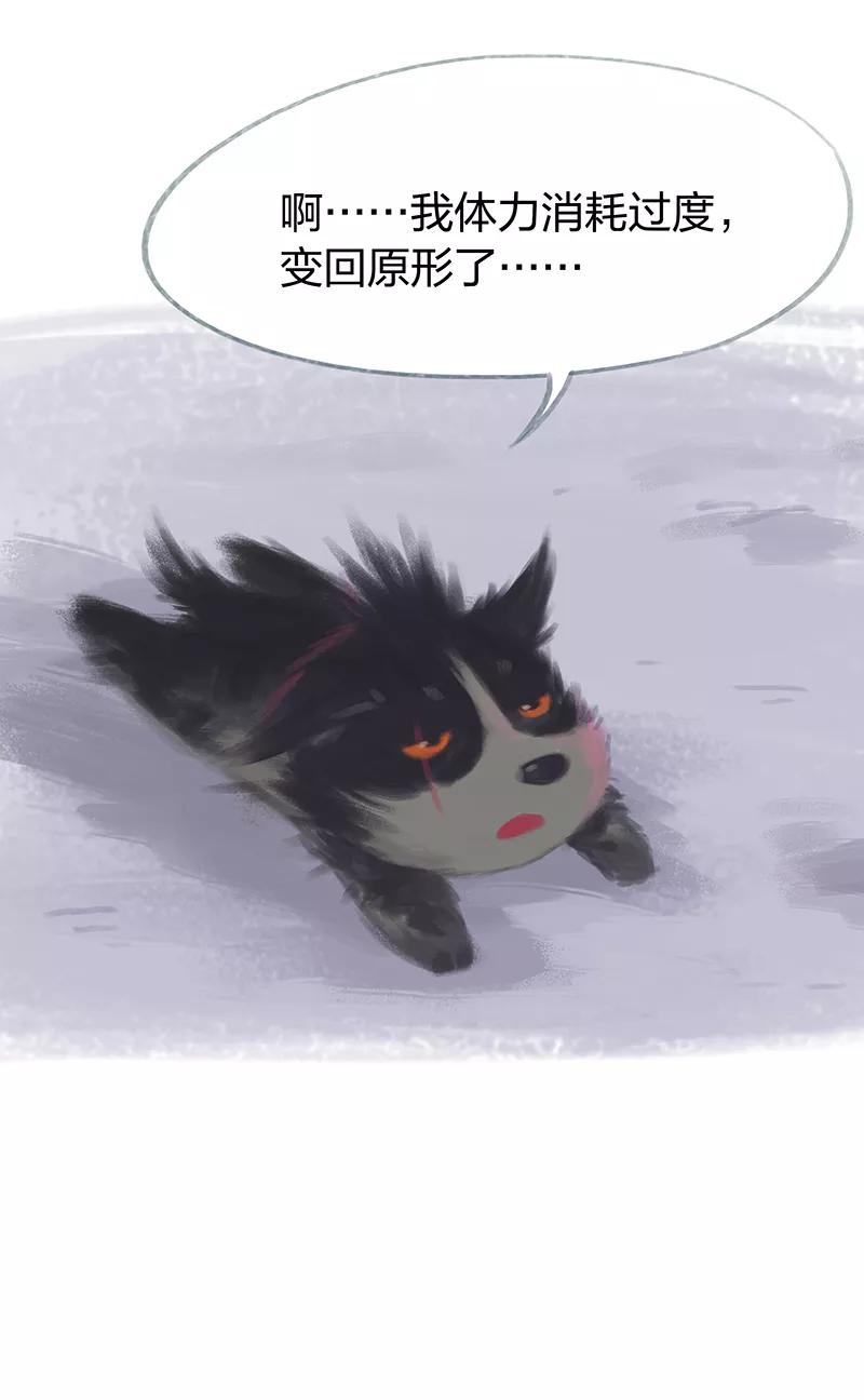 《吾猫当仙》第62话 第17页