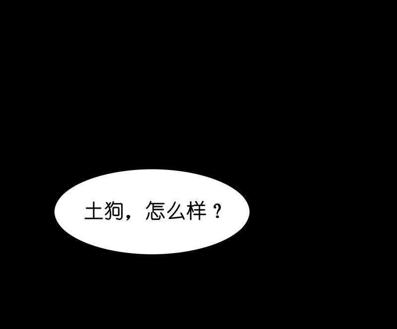 《吾猫当仙》番外 第14页