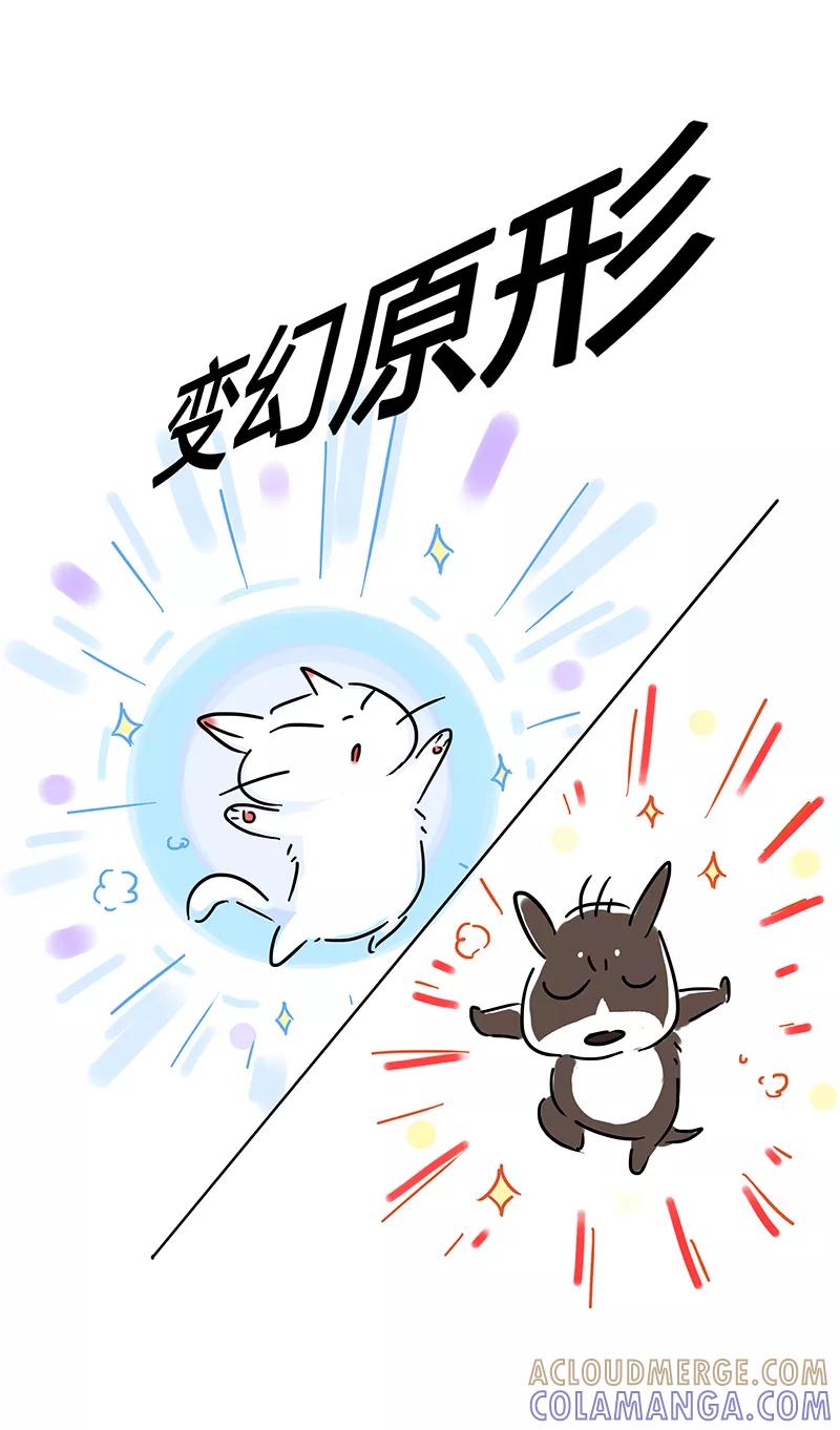 《吾猫当仙》番外 第5页