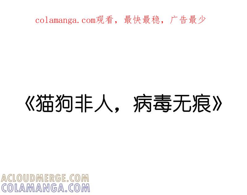 《吾猫当仙》番外 第1页