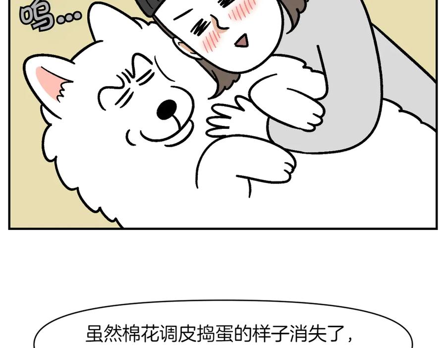 《我的狗子叫棉花》第2季序章 已经是中年狗狗了！ 第84页
