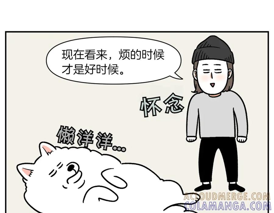 《我的狗子叫棉花》第2季序章 已经是中年狗狗了！ 第82页