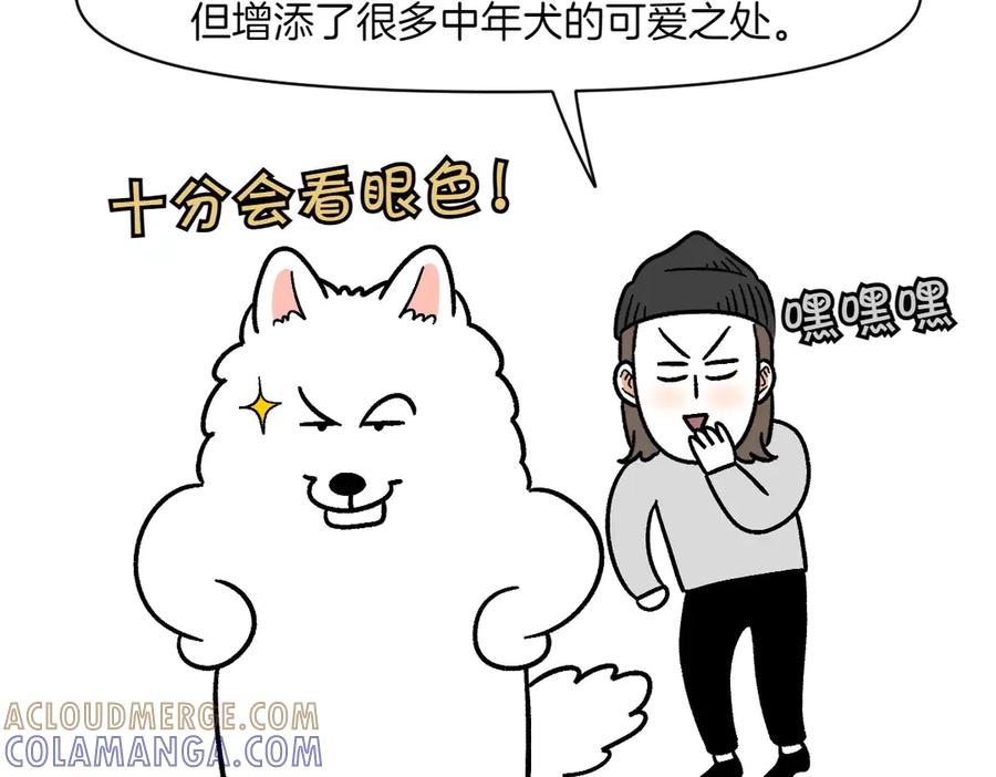 《我的狗子叫棉花》第2季序章 已经是中年狗狗了！ 第85页