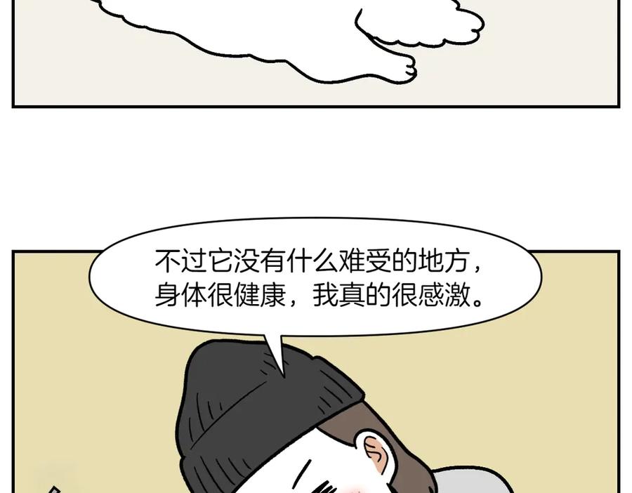 《我的狗子叫棉花》第2季序章 已经是中年狗狗了！ 第83页