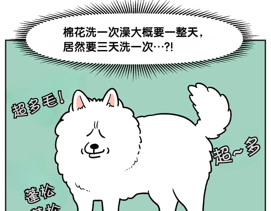 《我的狗子叫棉花》第1话 棉棒的诞生 第11页