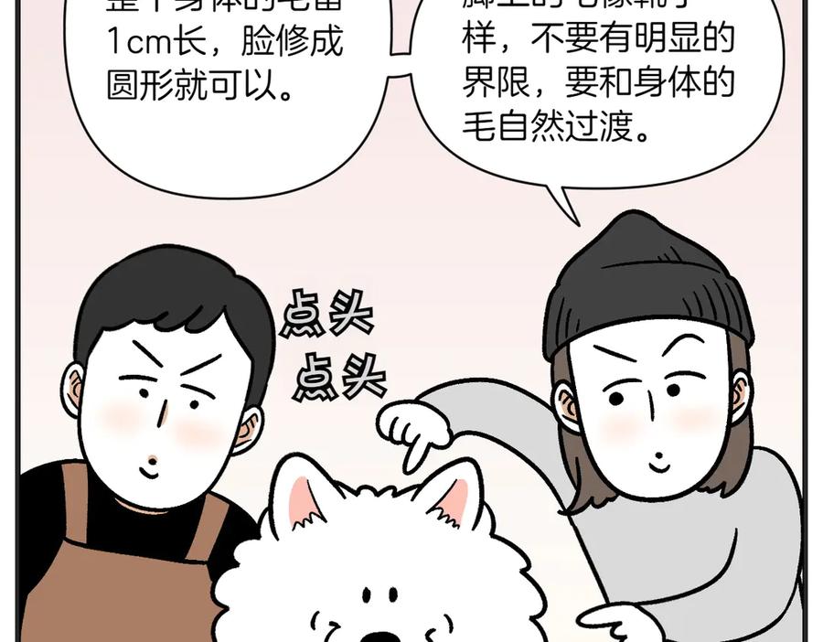 《我的狗子叫棉花》第1话 棉棒的诞生 第35页