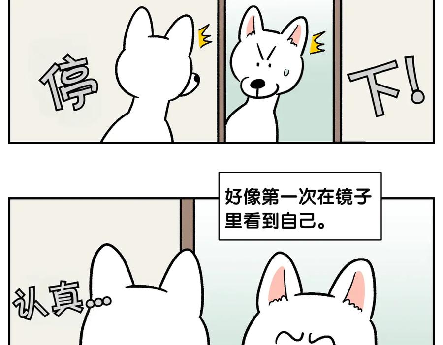 《我的狗子叫棉花》第2话 棉棒美容后记 第23页