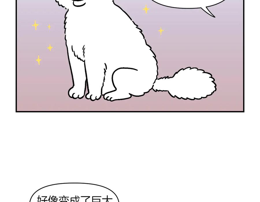 《我的狗子叫棉花》第2话 棉棒美容后记 第45页