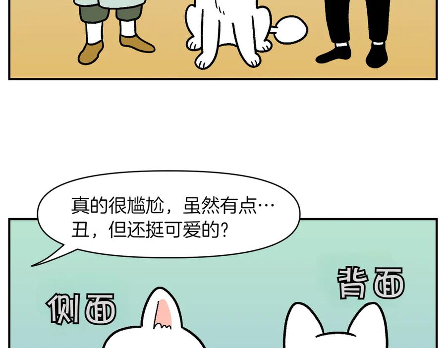 《我的狗子叫棉花》第2话 棉棒美容后记 第6页