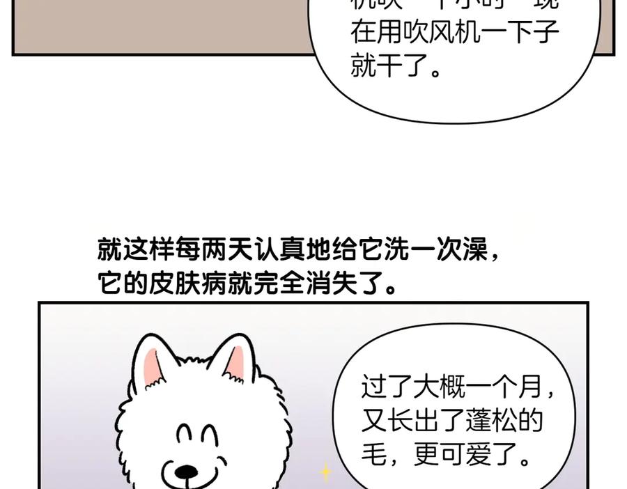 《我的狗子叫棉花》第2话 棉棒美容后记 第44页