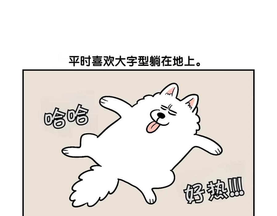《我的狗子叫棉花》第2话 棉棒美容后记 第30页