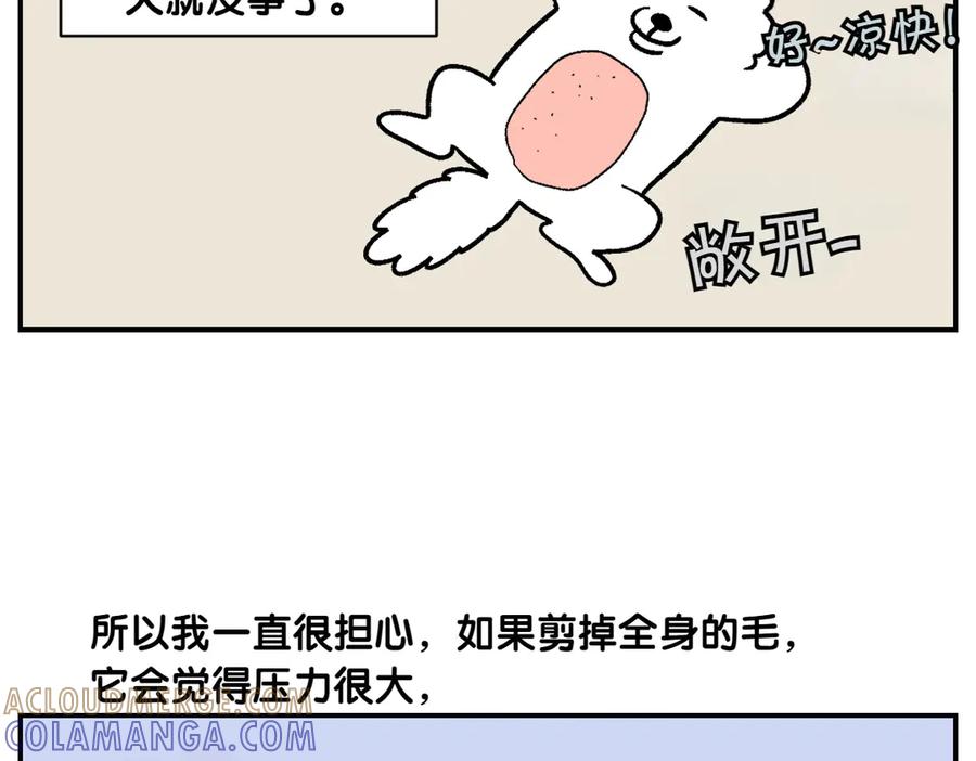 《我的狗子叫棉花》第2话 棉棒美容后记 第16页