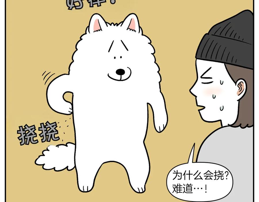 《我的狗子叫棉花》第3话 回归的棉棒 第45页