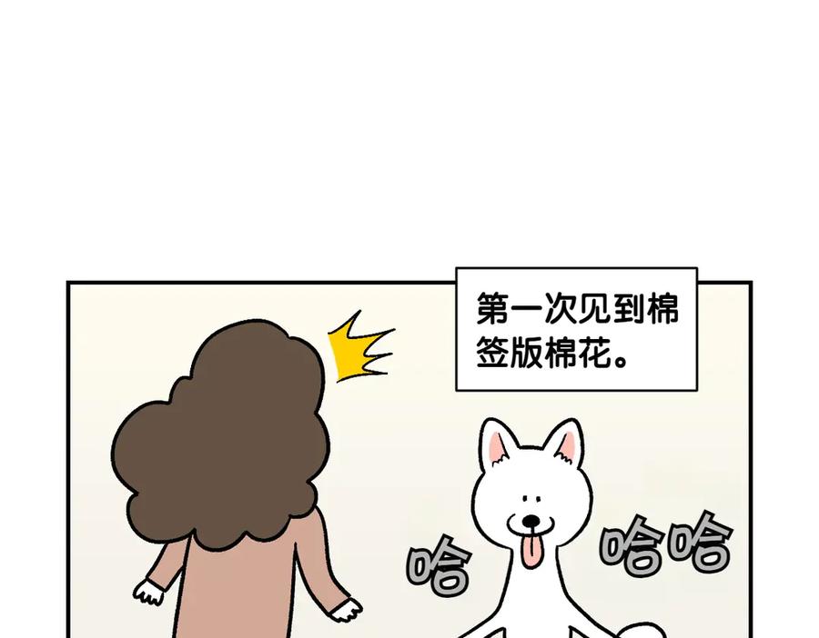《我的狗子叫棉花》第3话 回归的棉棒 第23页