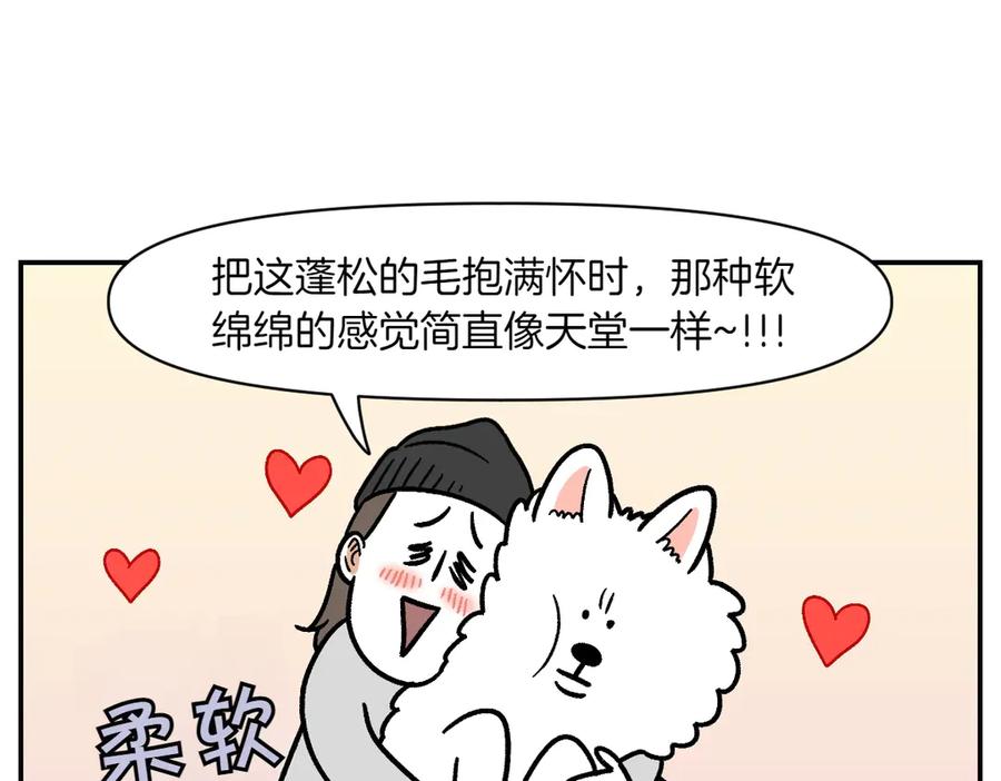 《我的狗子叫棉花》第3话 回归的棉棒 第38页