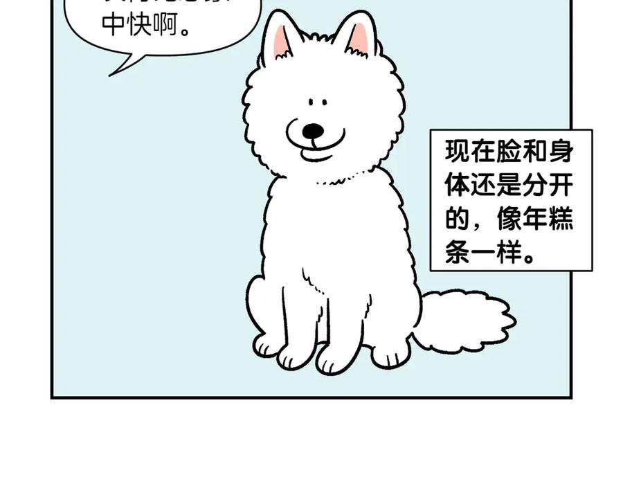 《我的狗子叫棉花》第3话 回归的棉棒 第42页