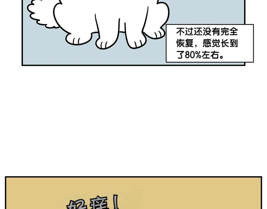 《我的狗子叫棉花》第3话 回归的棉棒 第44页