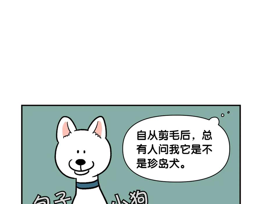 《我的狗子叫棉花》第4话 自助美容 第11页