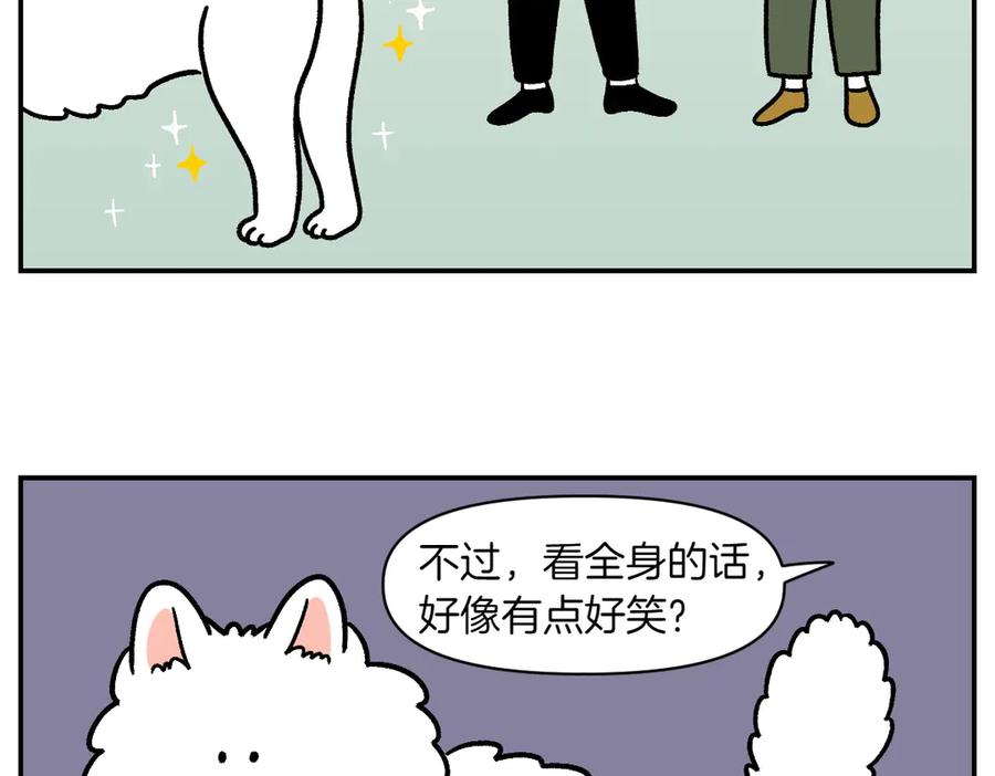 《我的狗子叫棉花》第4话 自助美容 第51页