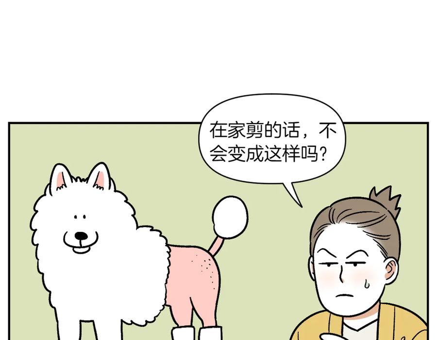 《我的狗子叫棉花》第4话 自助美容 第36页