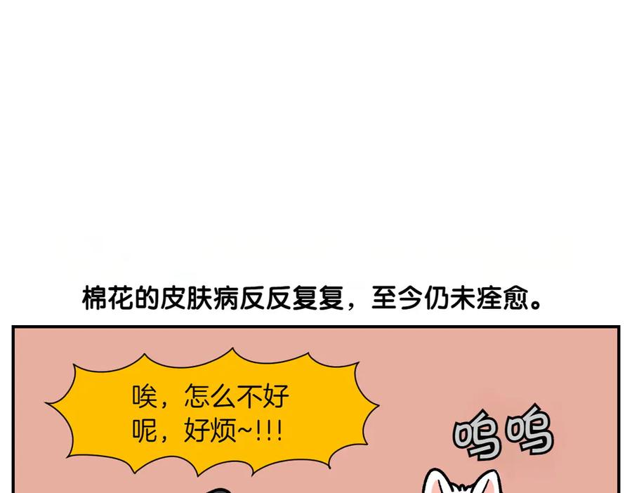 《我的狗子叫棉花》第4话 自助美容 第29页