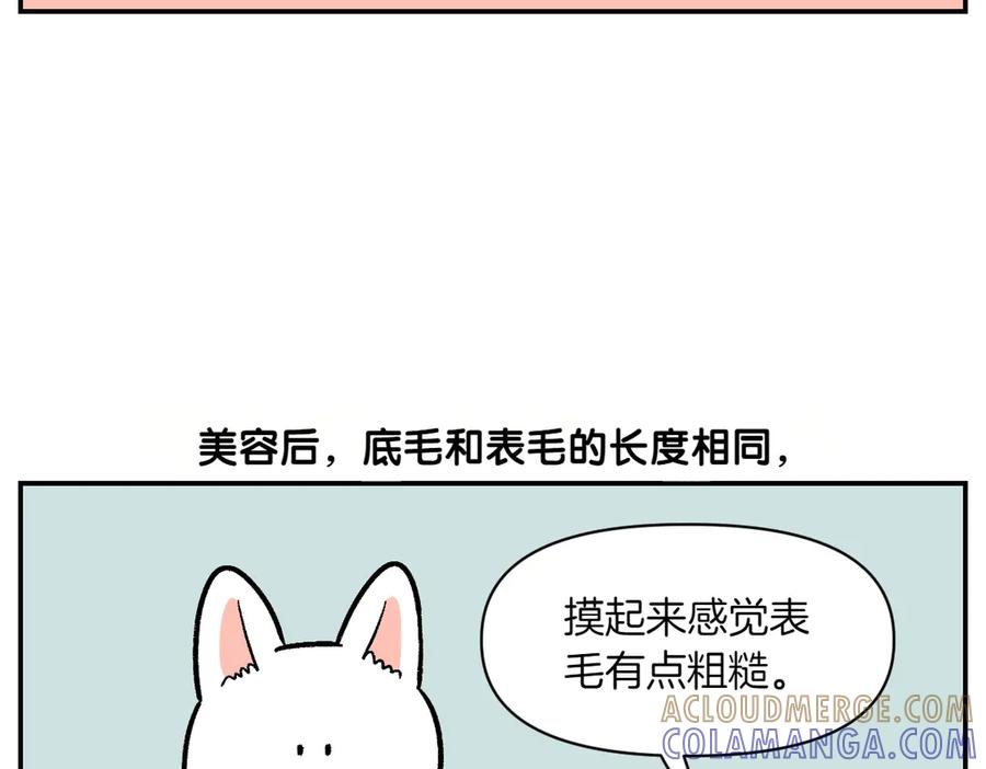 《我的狗子叫棉花》第4话 自助美容 第22页