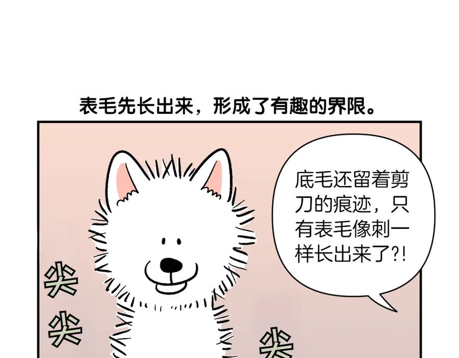 《我的狗子叫棉花》第4话 自助美容 第24页