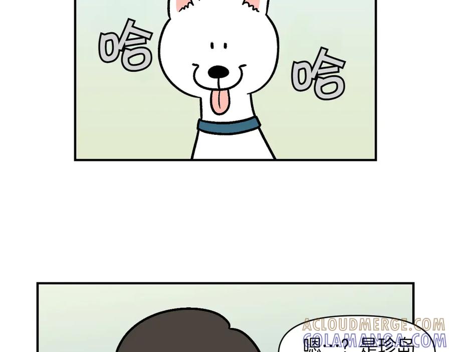 《我的狗子叫棉花》第4话 自助美容 第7页
