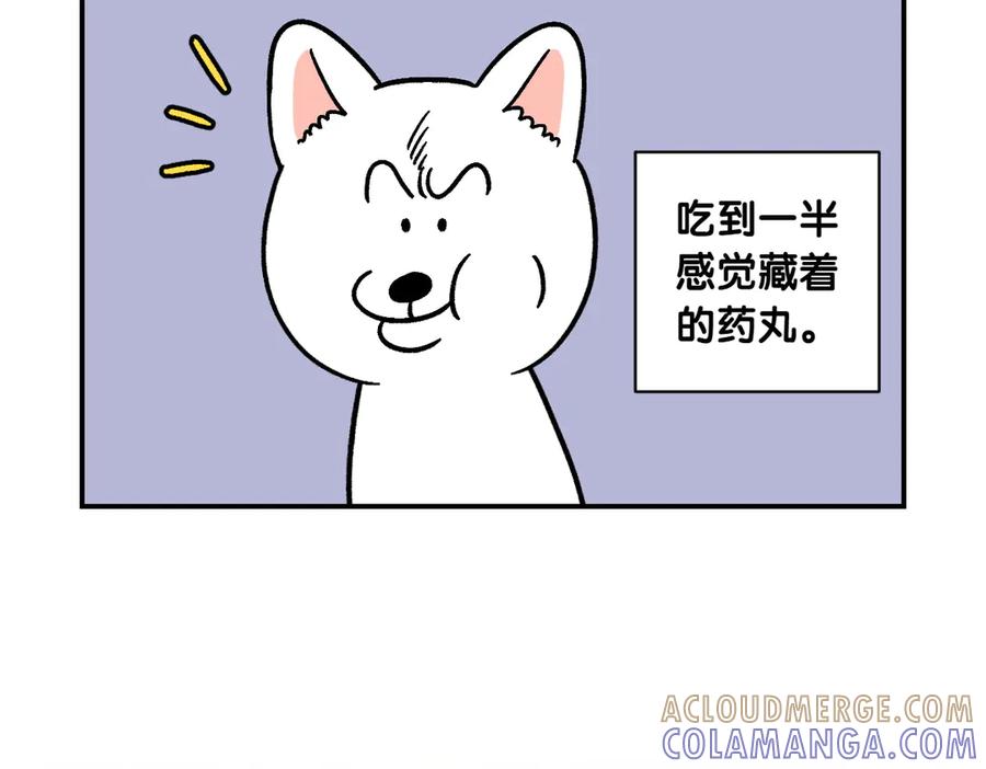 《我的狗子叫棉花》第5话 喂狗狗吃药片的方法 第40页