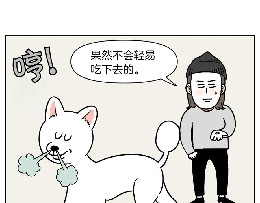 《我的狗子叫棉花》第5话 喂狗狗吃药片的方法 第8页