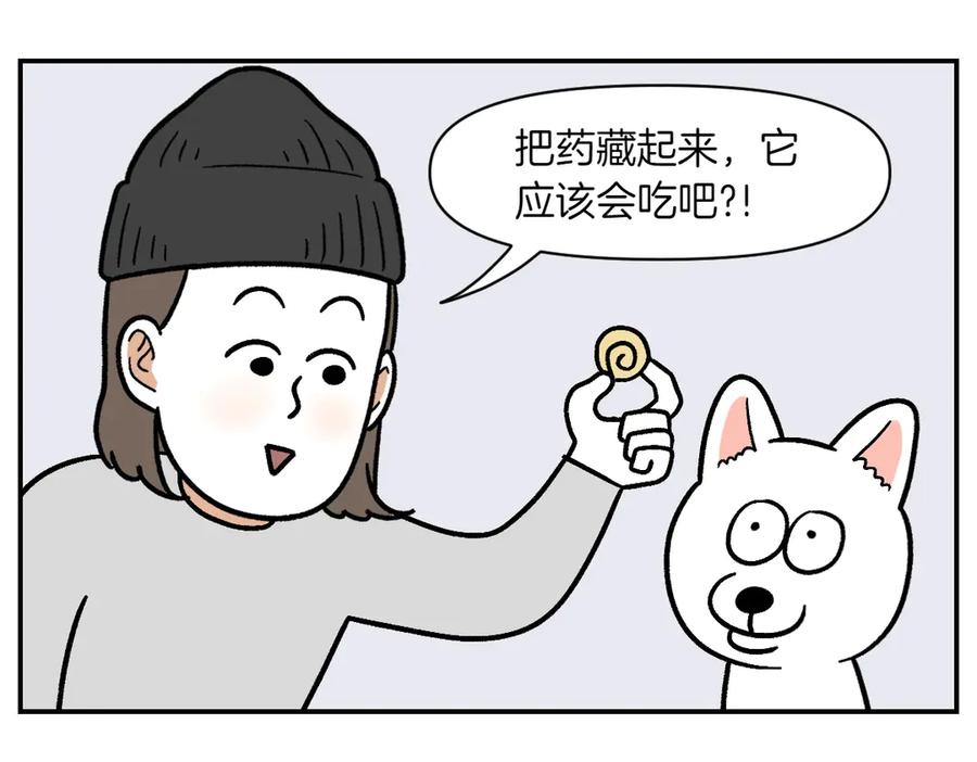 《我的狗子叫棉花》第5话 喂狗狗吃药片的方法 第20页