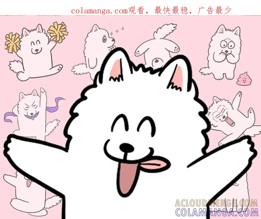 《我的狗子叫棉花》第5话 喂狗狗吃药片的方法 第1页