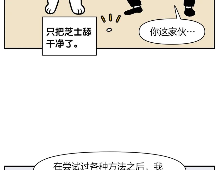 《我的狗子叫棉花》第5话 喂狗狗吃药片的方法 第27页